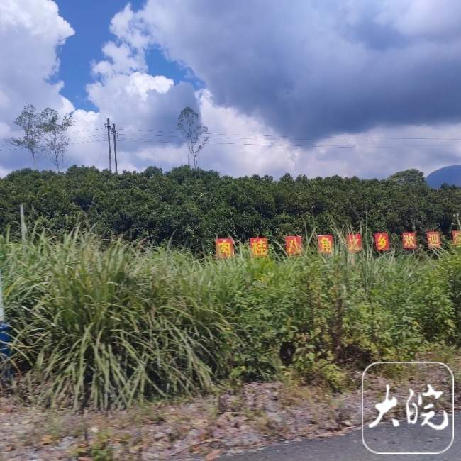 广西防城港致5死命案嫌疑人潜逃，当地村民：家门反锁、不敢上山采八角