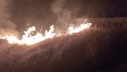 烧荒引起火灾逼停列车，行拘！