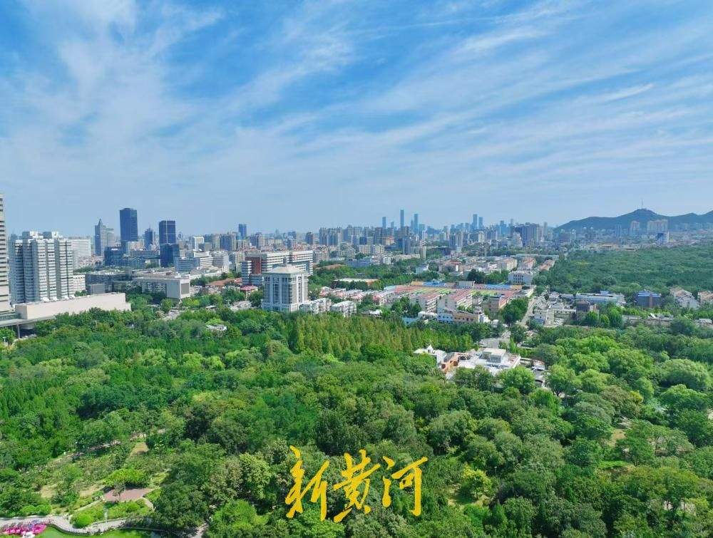 一年四季 泉在济南｜初秋泉城晴空万里，绿树成荫太美了