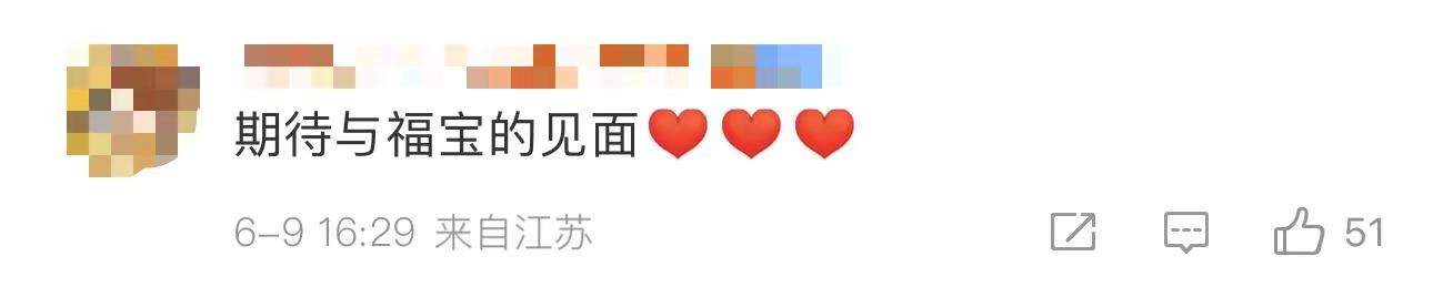 “福宝”即将和公众见面！还有这些“心上熊”可以相约