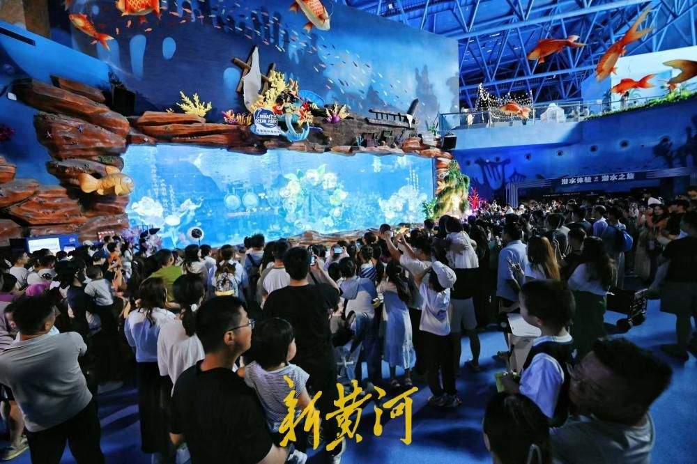 “六一”遇酷暑 济南融创海世界成亲子避暑地 人鱼表演人气爆棚