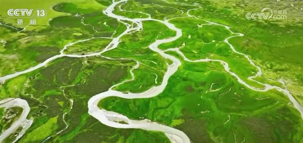 数说绿色发展成绩单 “十四五”时期我国草原生态得到整体改善