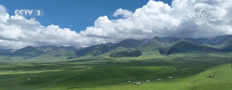 “不夜城”、房车游、草原游……夏日旅游市场“新”意足 吸引力拉满