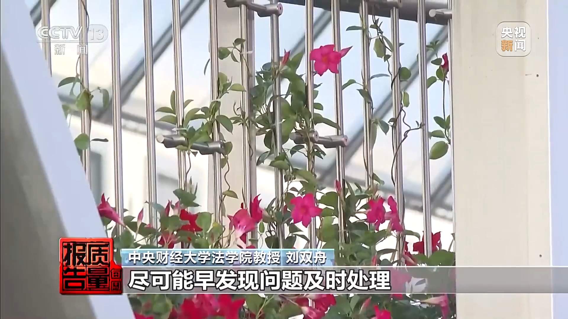 “手打”面不靠手打，“心机商标”有哪些套路？