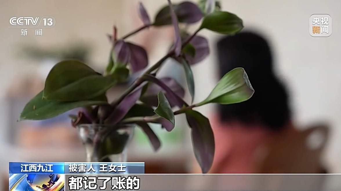 投30万元挣上亿元？二人假扮客商专骗老人被抓