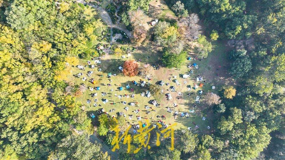 泉城深秋暖意浓，森林公园变身市民“诗意栖居地”