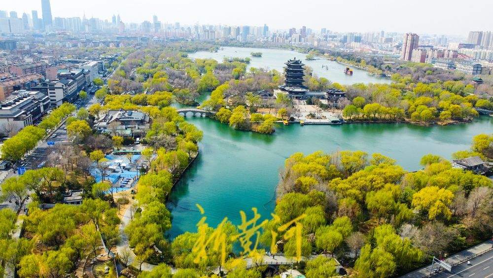 垂柳泛绿与碧水相伴，大明湖春色逐渐浓郁