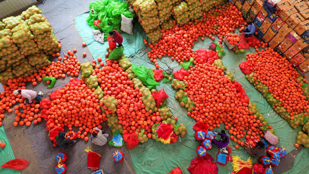 经济大省调研行 