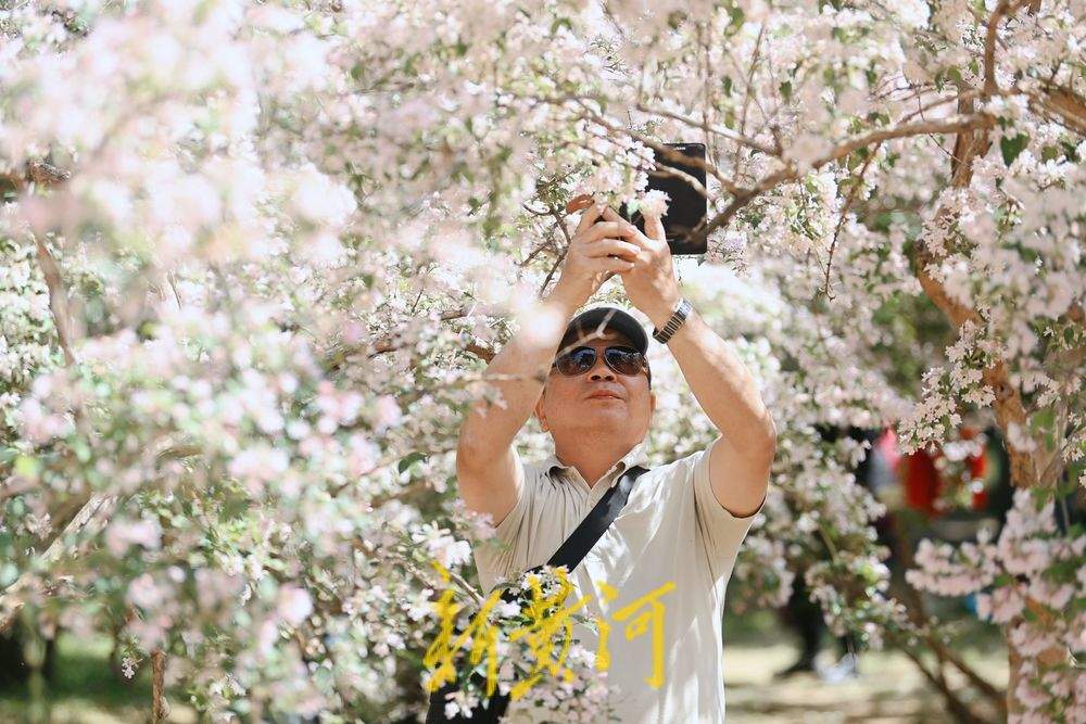 一年四季 泉在济南｜泉城猬实花开引客来