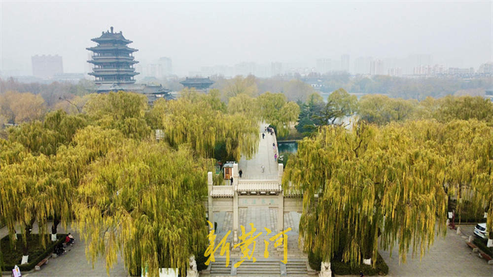 冬日大明湖：雾锁湖光，柳染冬韵