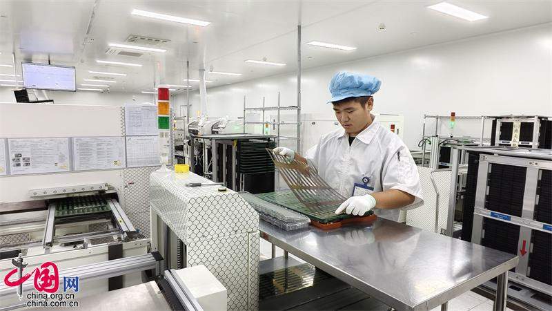 山东“冠军制造”实力出圈：大而全筑根基 精且尖拔头筹