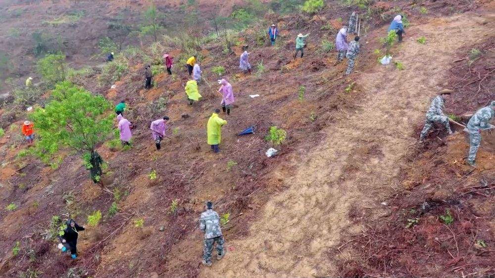新华视点｜不负春光开好局 各地忙生产稳就业