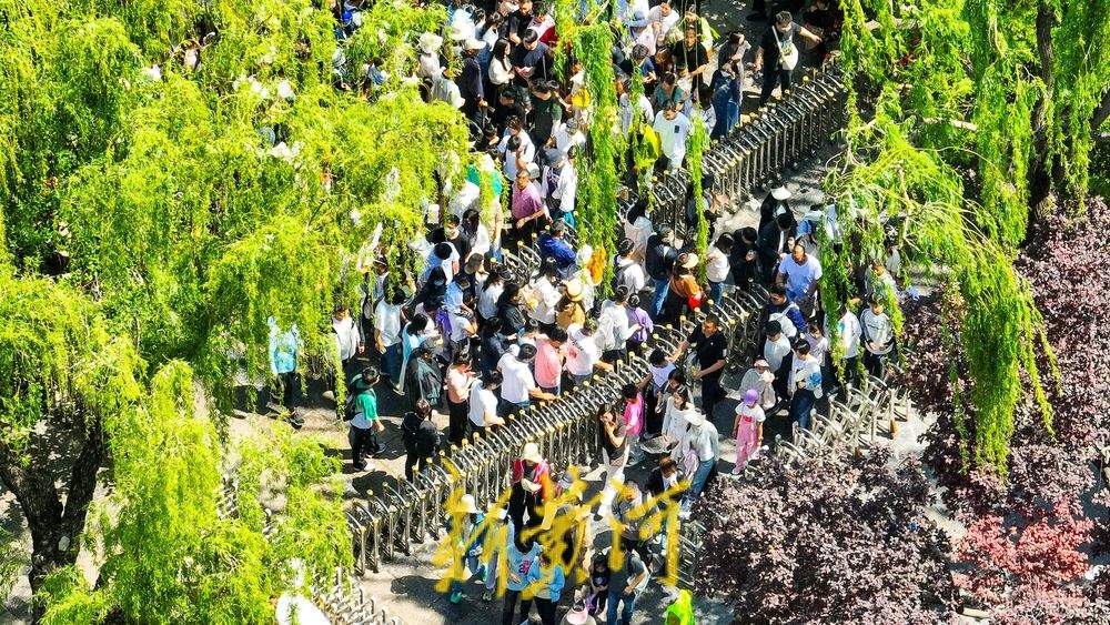 一年四季 泉在济南｜魅力满格人气爆棚，趵突泉景区实行单向通行