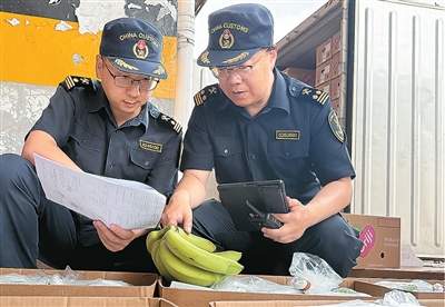 这个夏天，进口水果更亲民了