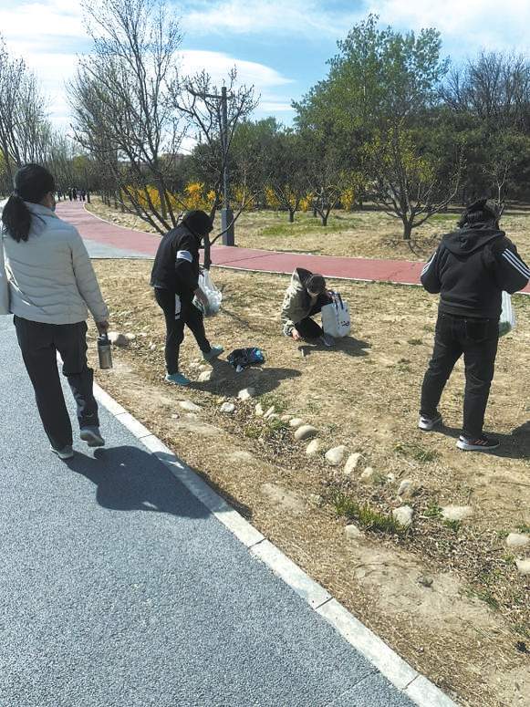 年轻人热衷挖野菜 舌尖“野趣”背后 切莫盲目跟风