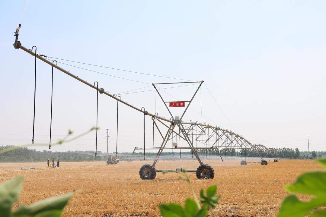 山东“三水”统筹配置，为千万亩农田“解渴”