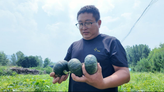 融媒·见证丨新农人的奇思妙想，促成乡村与城市的双向奔赴——我在城里“云”种田