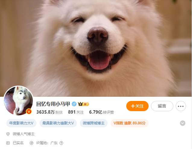 “暗示20岁女孩与花甲老人存在不正当关系”，千万粉丝网红致歉