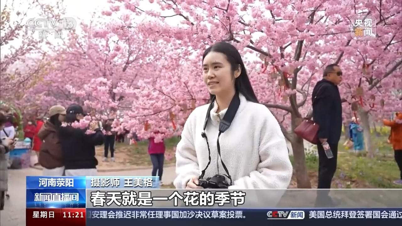 春暖花开 赏花经济为经济发展“增”色“添”香