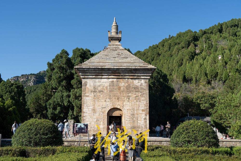 跟着悟空游济南！感受四门塔“猫猫寺”的魅力 