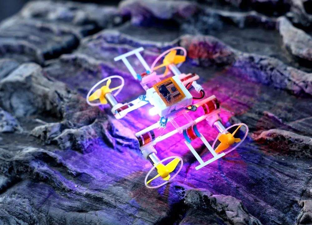 我国“搭积木”搭出9厘米微型无线陆空两栖机器人