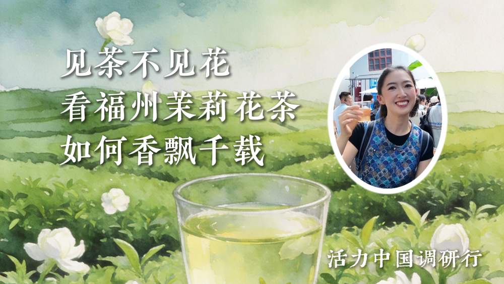 活力中国调研行｜见茶不见花，看福州茉莉花茶如何香飘千载