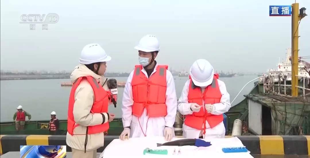 三文鱼的价格打下来了？追更《海洋牧场转场记》