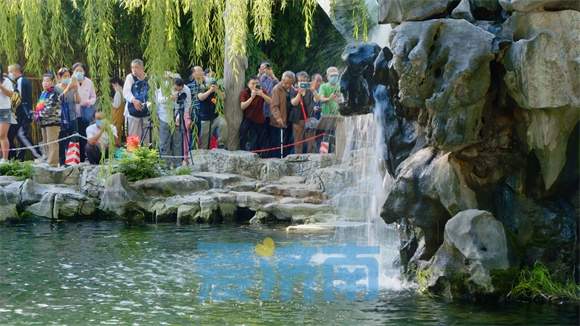 济南至高水位之泉，演绎爱情与自然的浪漫交响