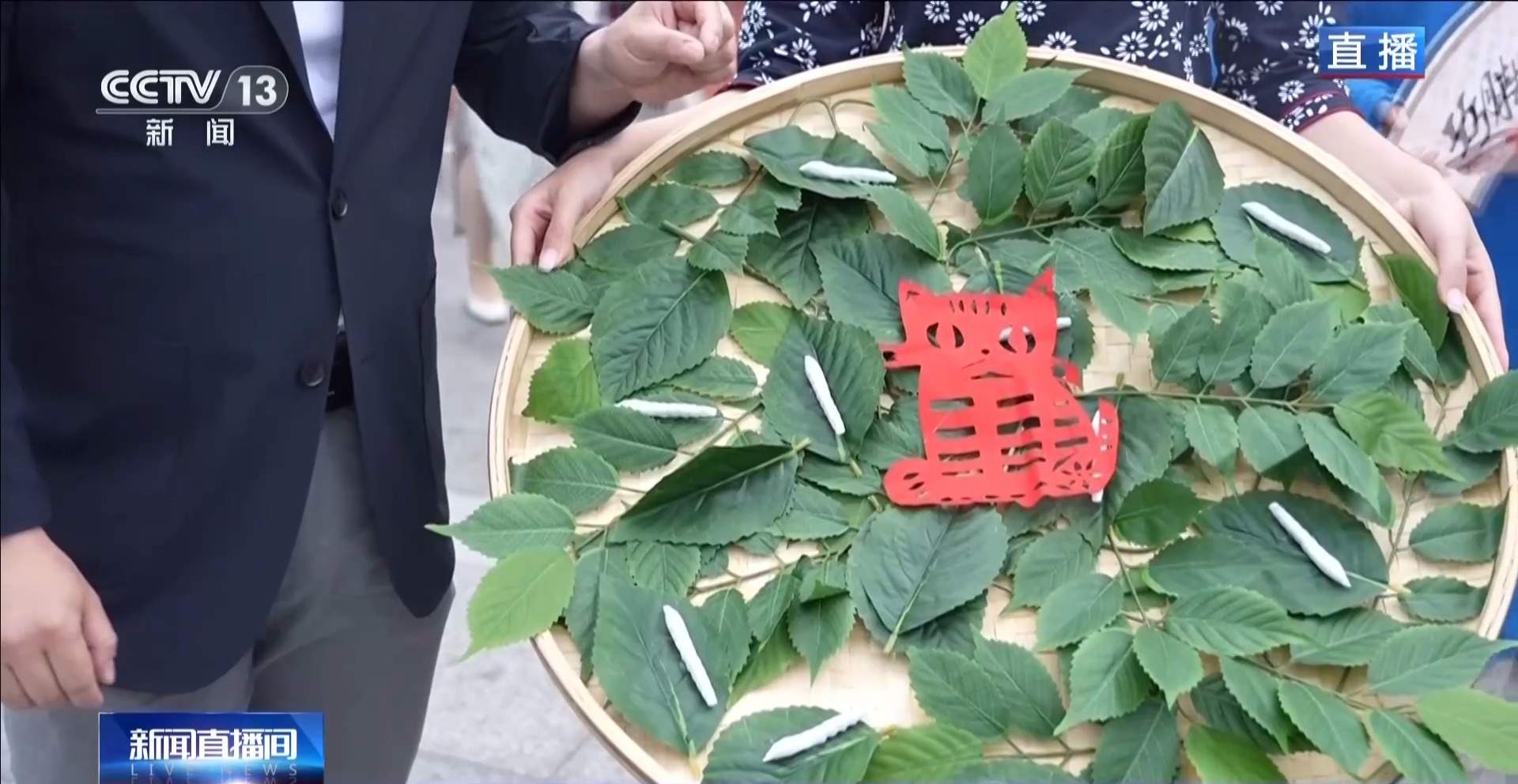 小满已到 该吃什么玩什么？小满时节全攻略来了