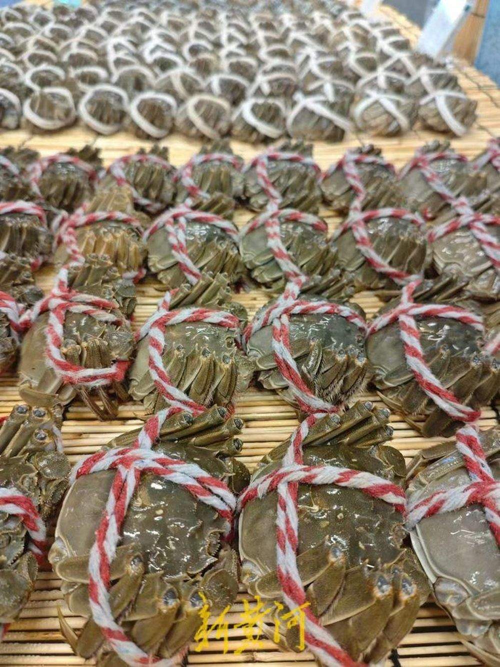 盒马济南城西首店30日开业