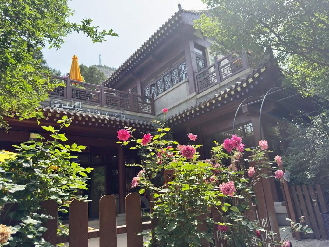 人头攒动，佛慧山公园成热门“打卡地”