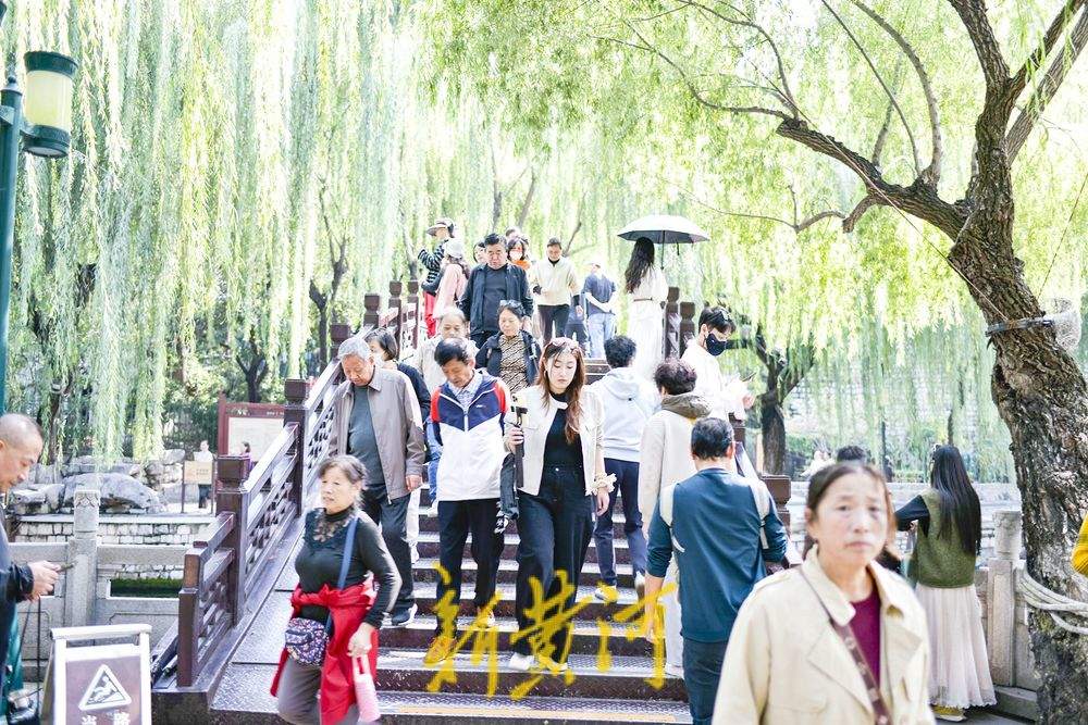 黑虎泉欢涌劲头足，三兽头喷涌引赏泉游热潮