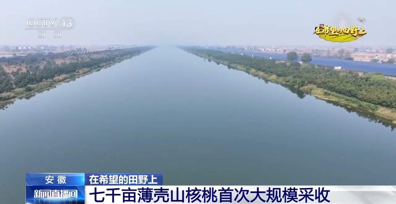 全国秋粮收获进入高峰期 各地采收进行中→