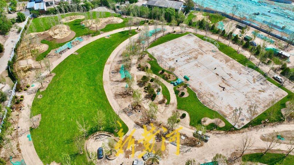 济南黄河畔新建绿带公园 集观景和运动为一体