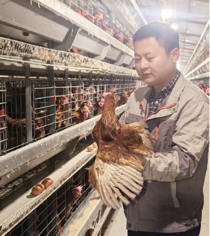 从“新农人”到“兴农人”——济南三位年轻“头雁”的扎根与共富故事