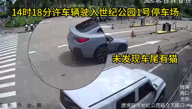 “汽车拖猫”事件后续：3人造谣网暴他人被行拘！