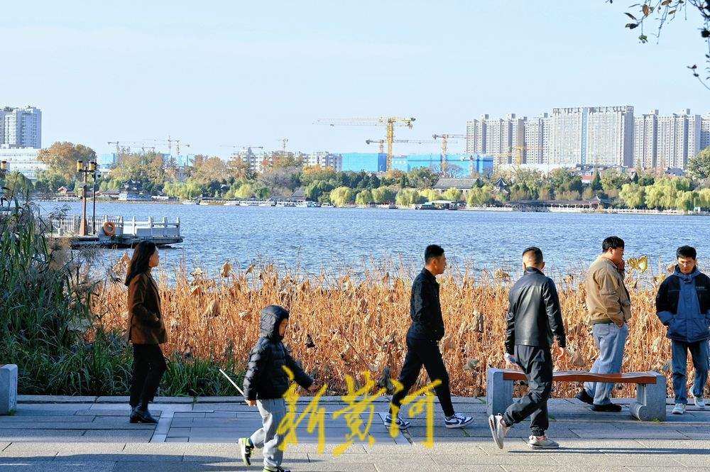 济南迎寒潮天气 大明湖畔游客寒风中赏残荷韵味足