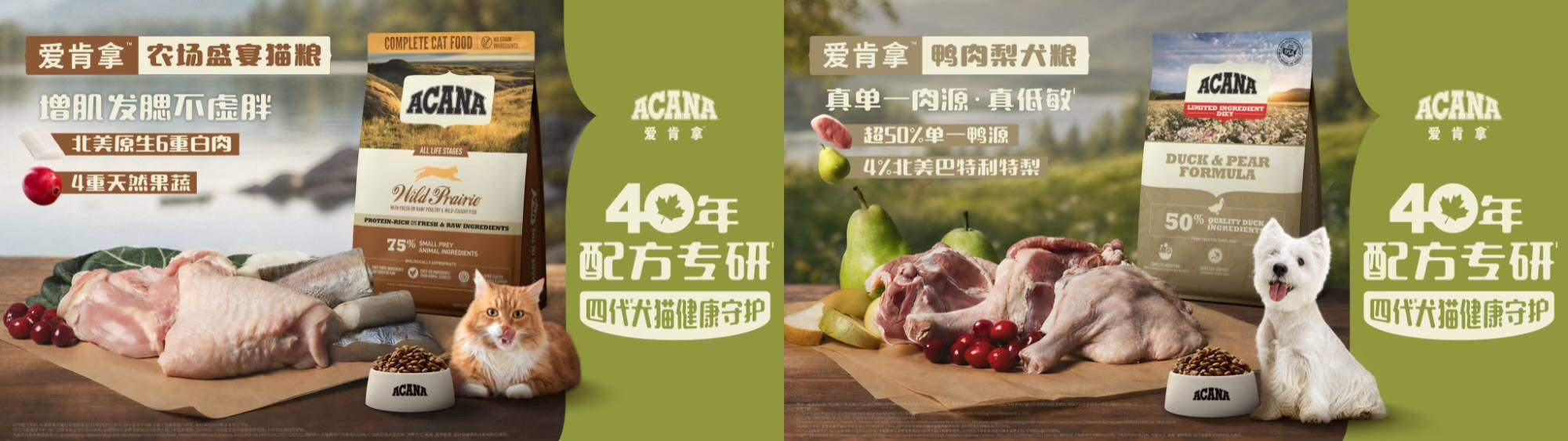 爱肯拿迎来了不起的40年：以专研配方守护四代犬猫健康，赢得长久信赖 