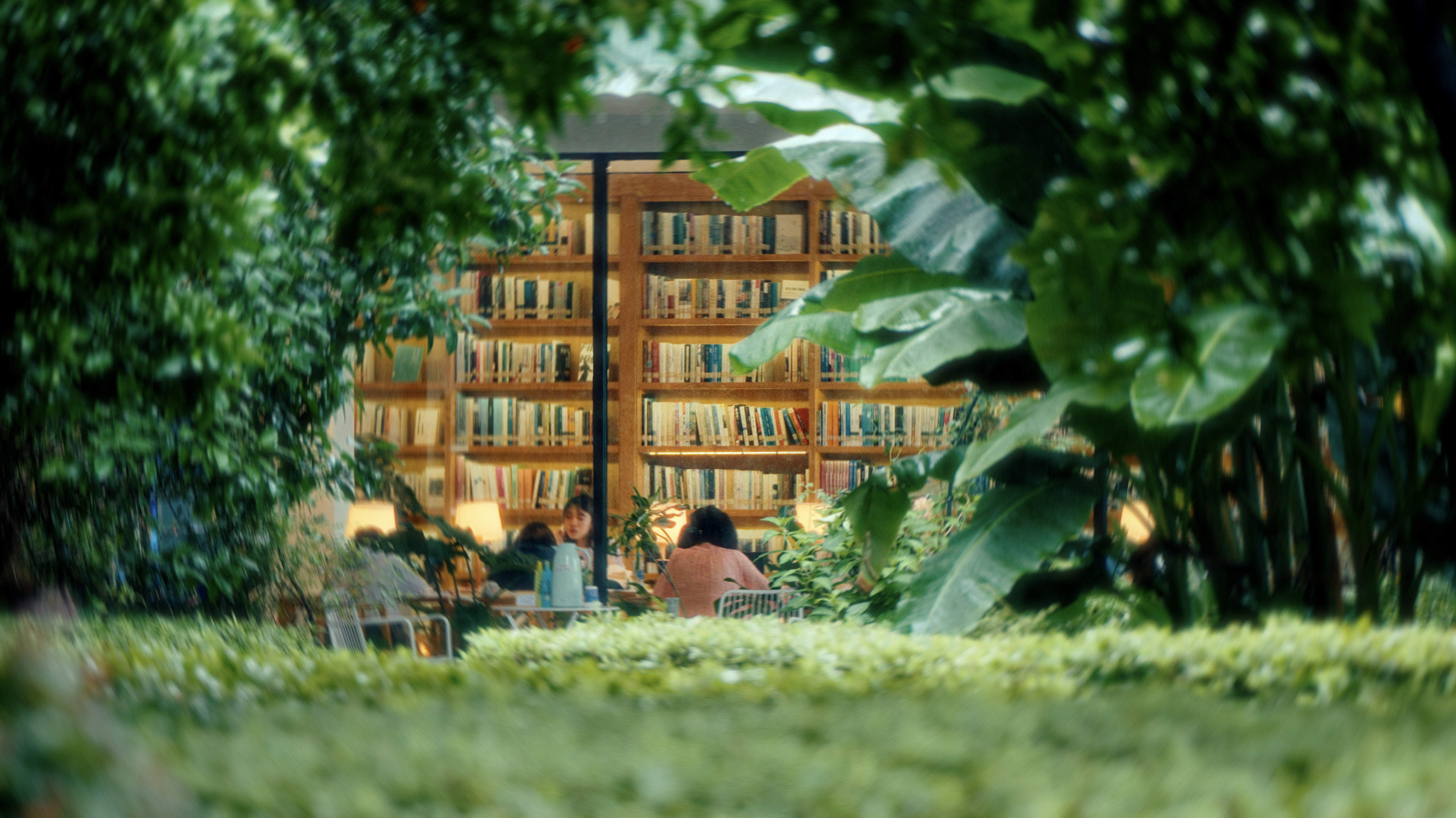 第五届全民阅读大会在南昌举办——最美阅读瞬间