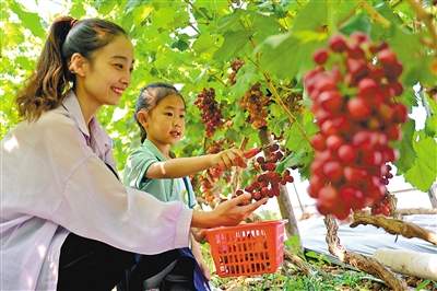 山东加快建设绿色低碳高质量发展先行区（新时代画卷·锚定现代化 改革再深化）