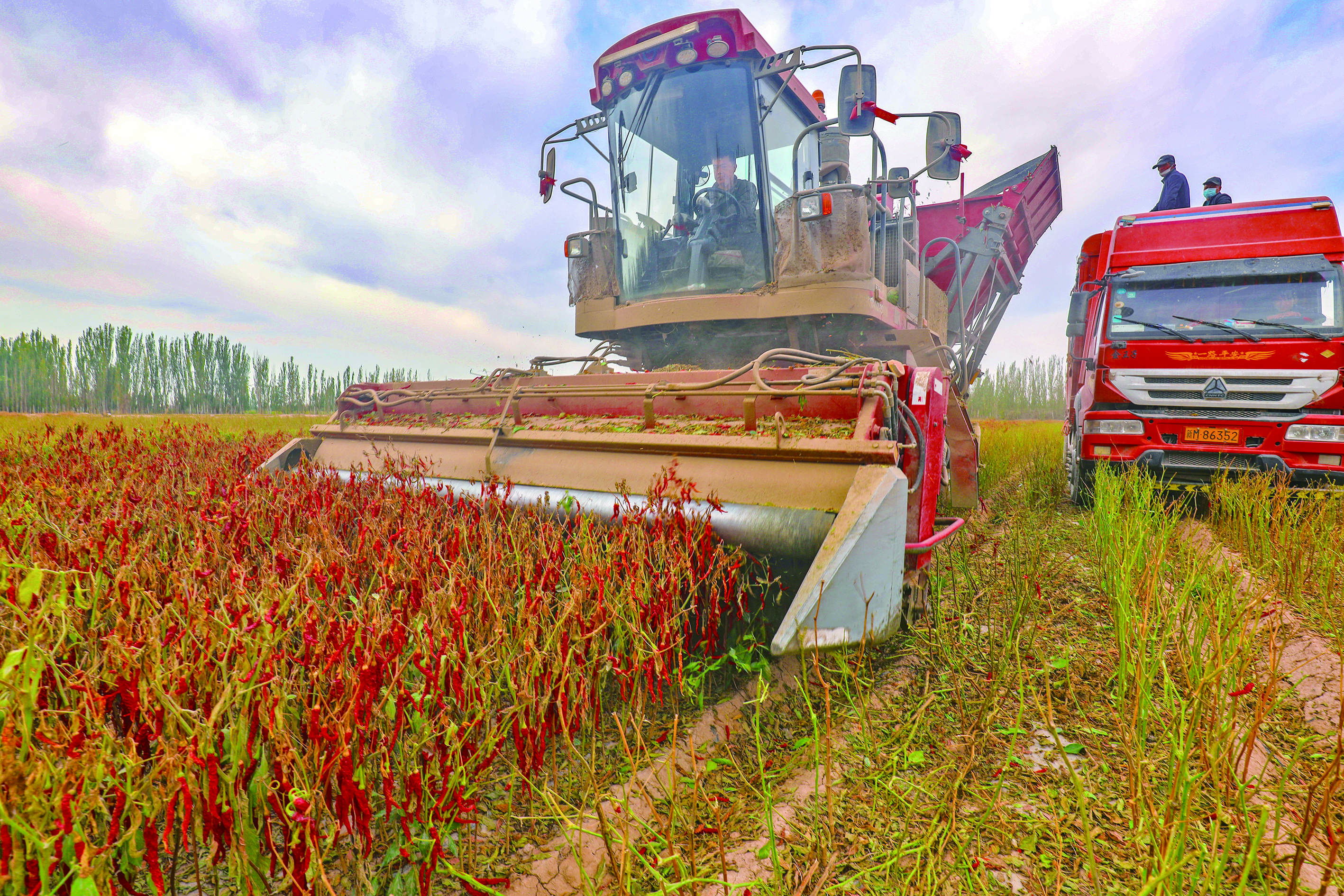 金秋“调色盘”  绘就好“丰”光