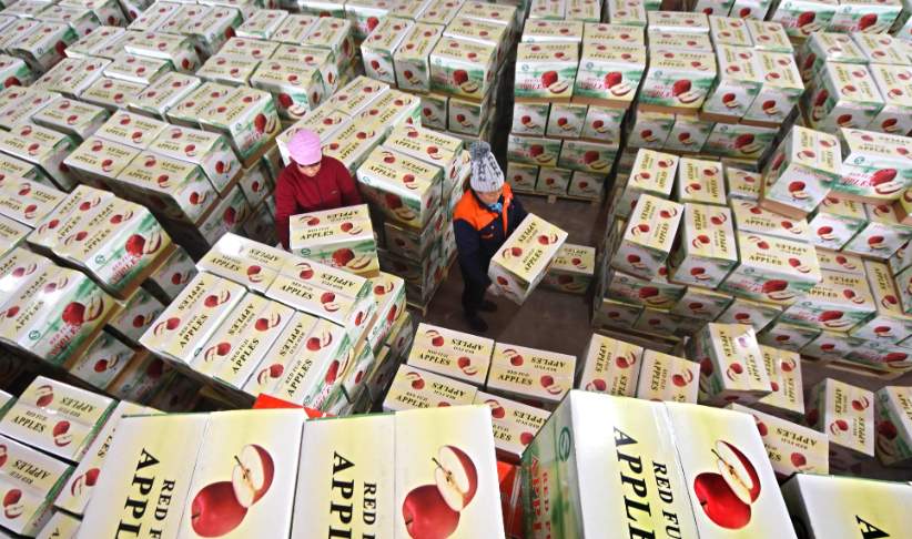 好物荟萃 解锁消费新姿势!“2025山东省外贸优品购物季”来了