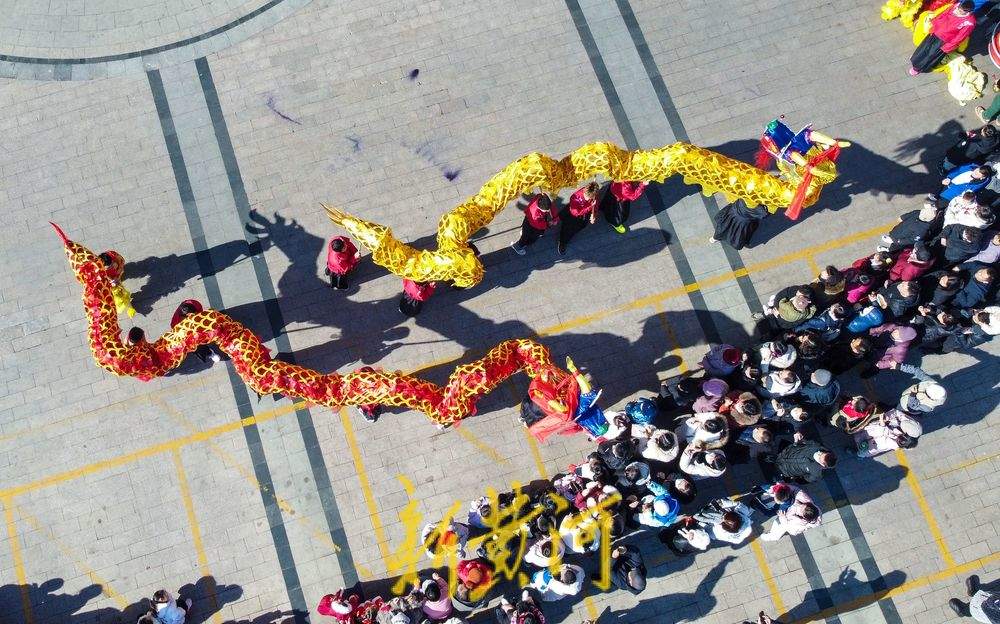 “泉”在济南过大年｜长龙飞舞闹新春，市民尽享民俗文化盛宴