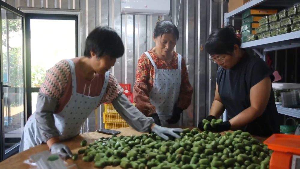 金秋丰收绘新景 乡村振兴谱华章