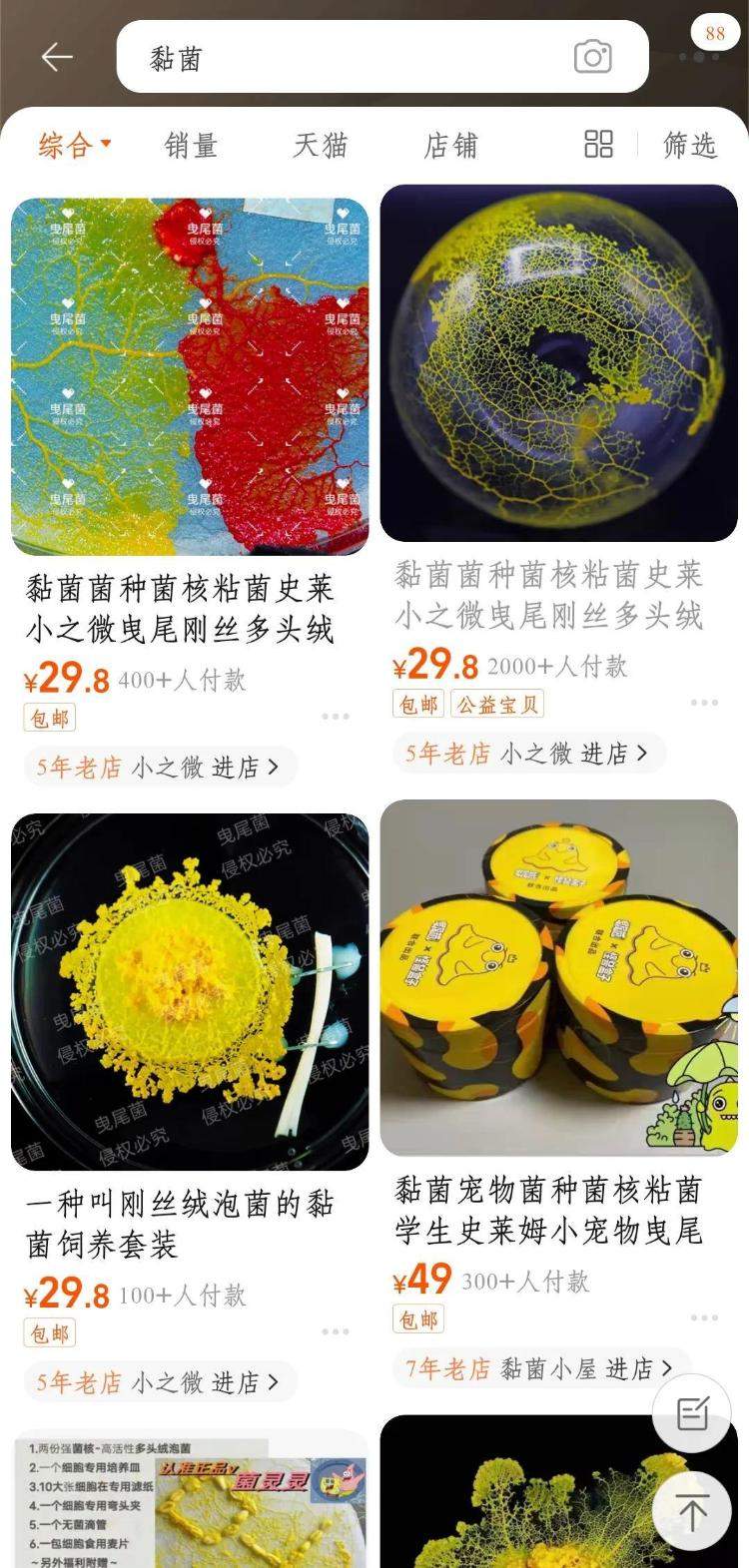 不养蚕宝宝，养黏菌！现在小学生的宠物越来越逆天