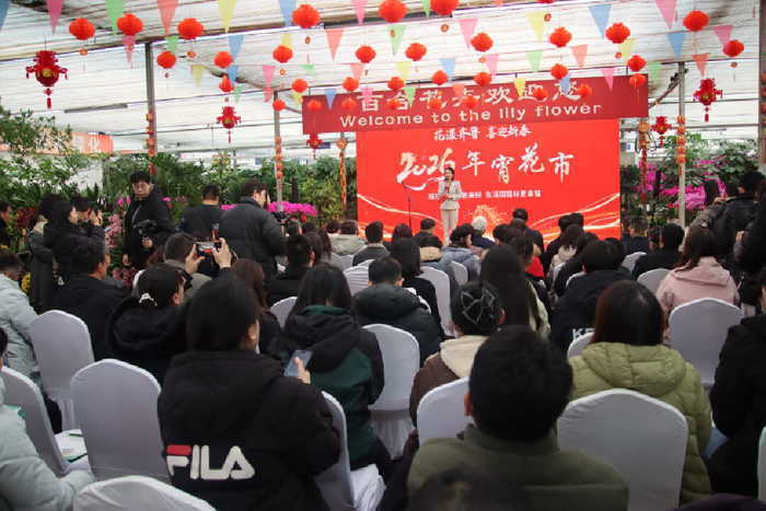 济南2026年宵花市拉开开幕,将持续至3月10日