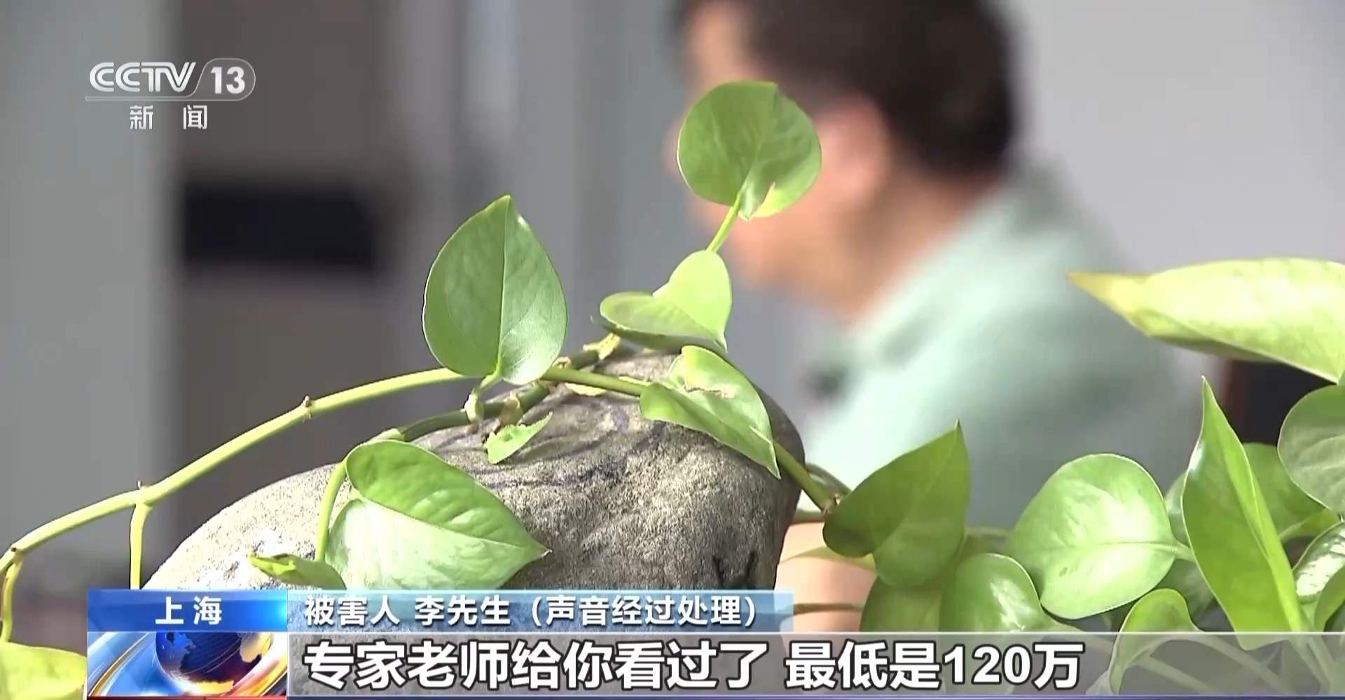 免费送、赚大钱?老汉豪掷百万赌石竟是被安排的剧本