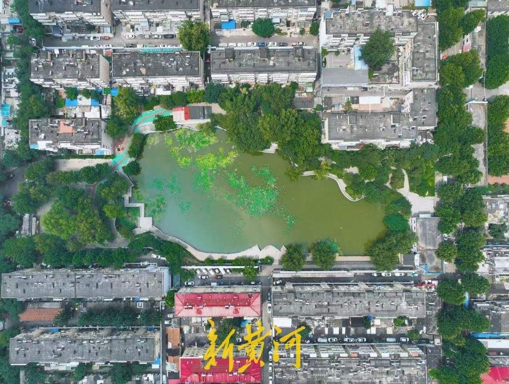 济南闹市藏幽境 一潭青绿醉盛夏