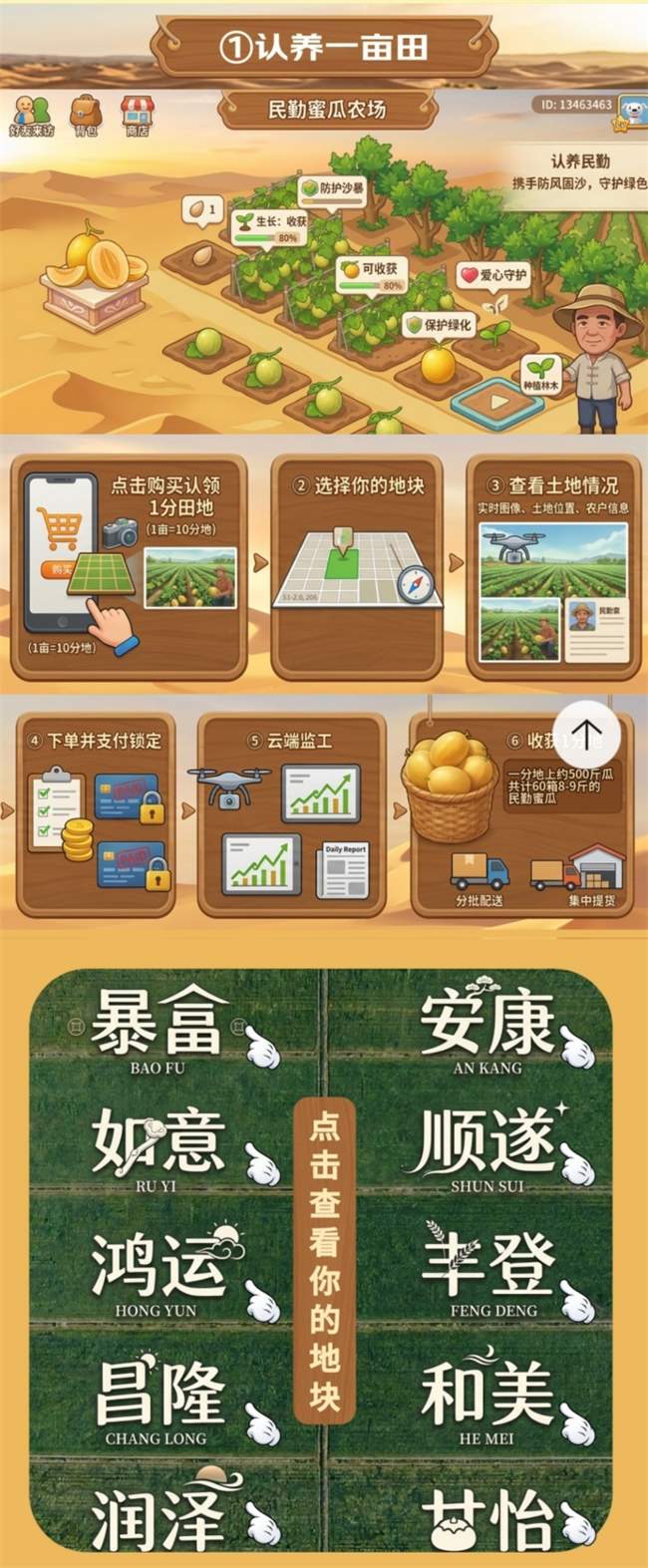 从5万人种梭梭到“包圆”2000亩蜜瓜：一场民勤治沙的公益接力