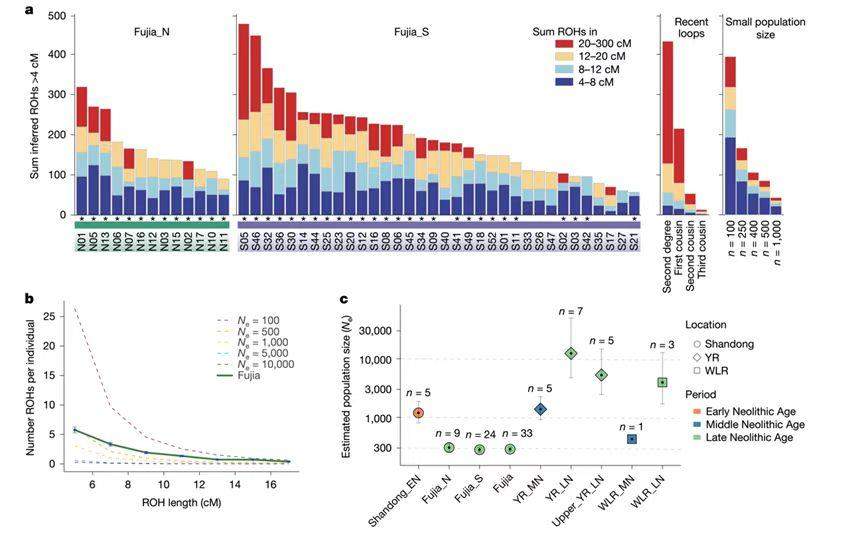 山东傅家遗址确证母系社会存在：DNA是实证，但并非孤证